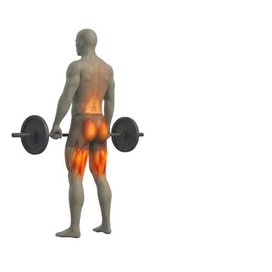Conventional deadlift