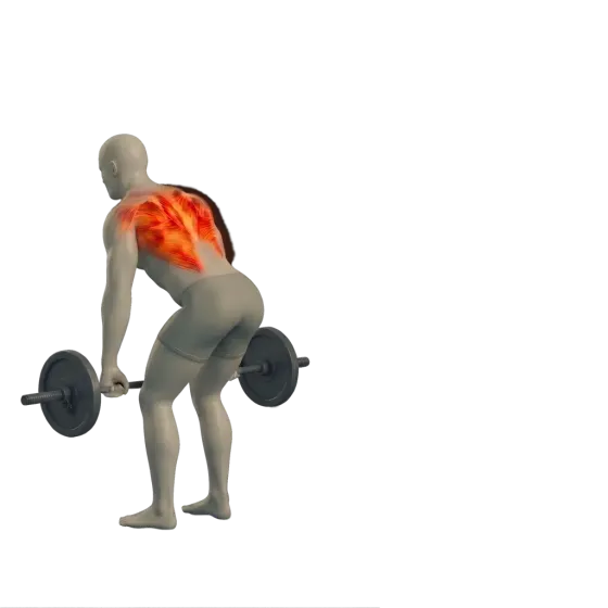 Barbell row