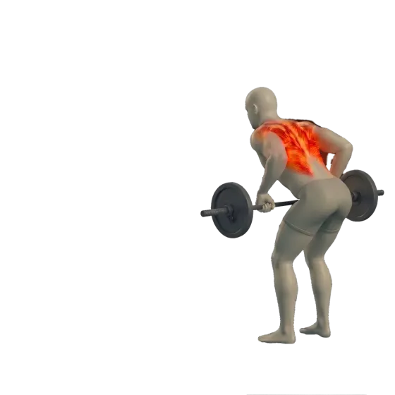 Barbell row