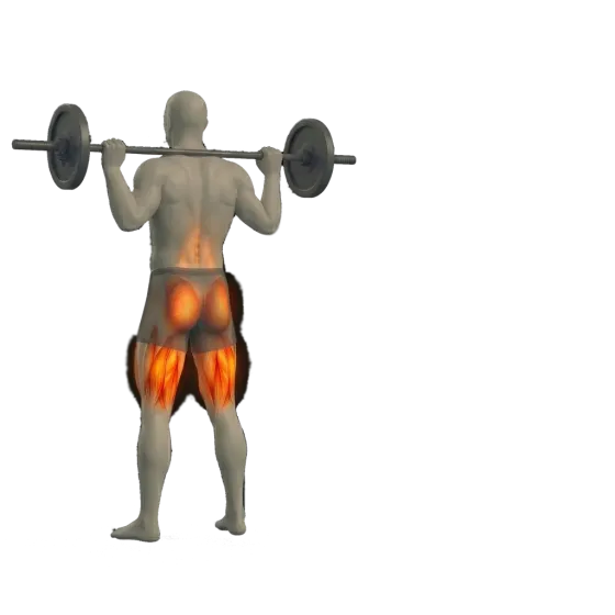 Back squat