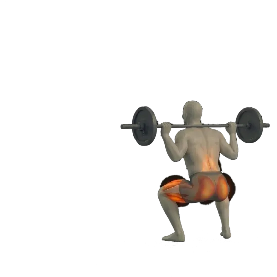 Back squat